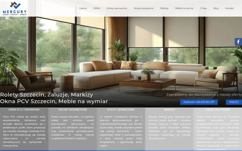 Widok strony internetowej firmy Mercury