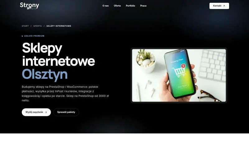 Widok strony internetowej firmy Strony Olsztyn